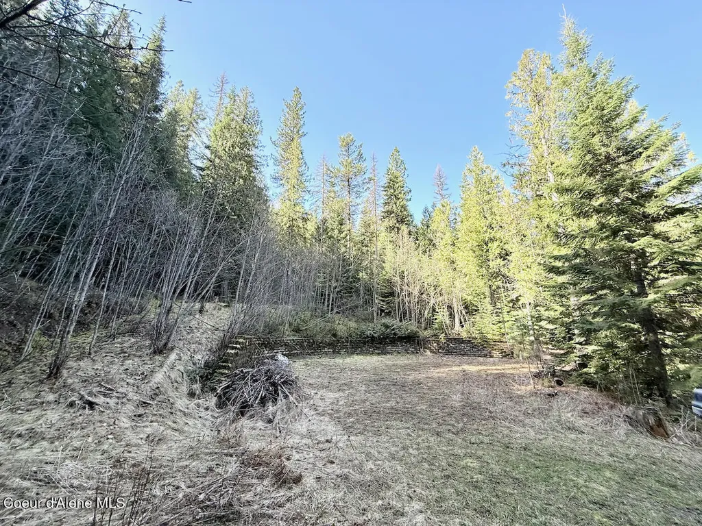 498 Revenue Gulch Road Silverton ID 83867