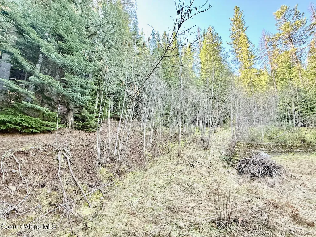 498 Revenue Gulch Road Silverton ID 83867