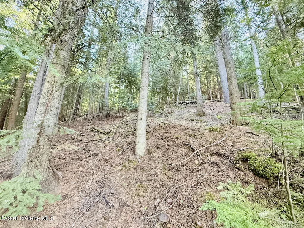 498 Revenue Gulch Road Silverton ID 83867