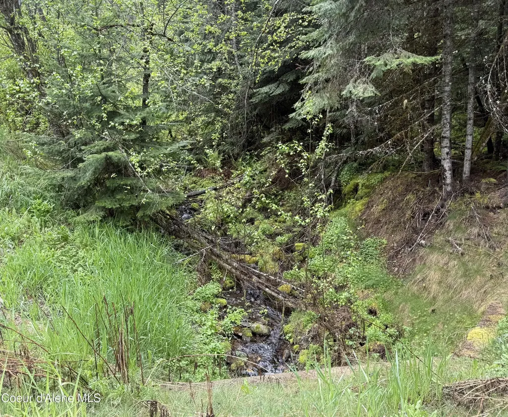 498 Revenue Gulch Road Silverton ID 83867