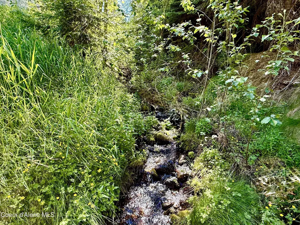 498 Revenue Gulch Road Silverton ID 83867