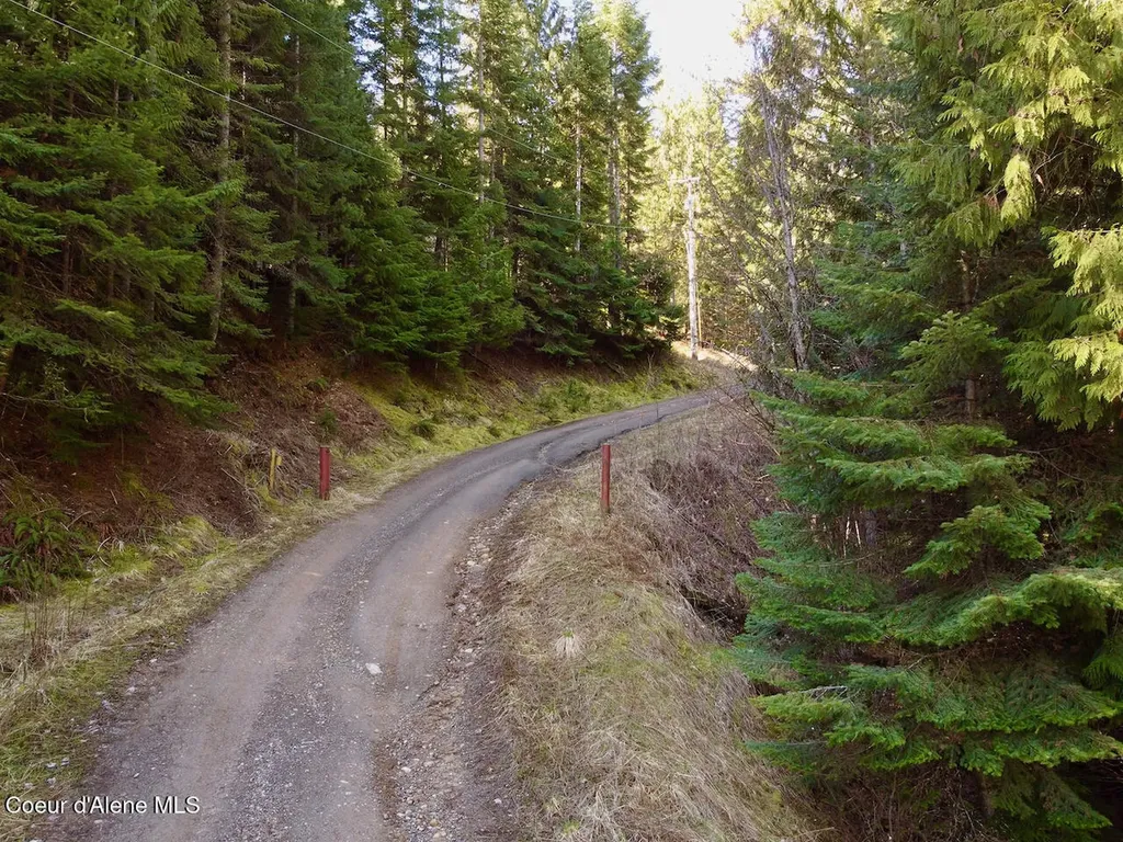 498 Revenue Gulch Road Silverton ID 83867