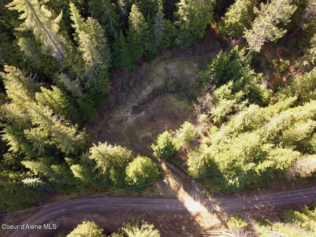 498 Revenue Gulch Road Silverton ID 83867