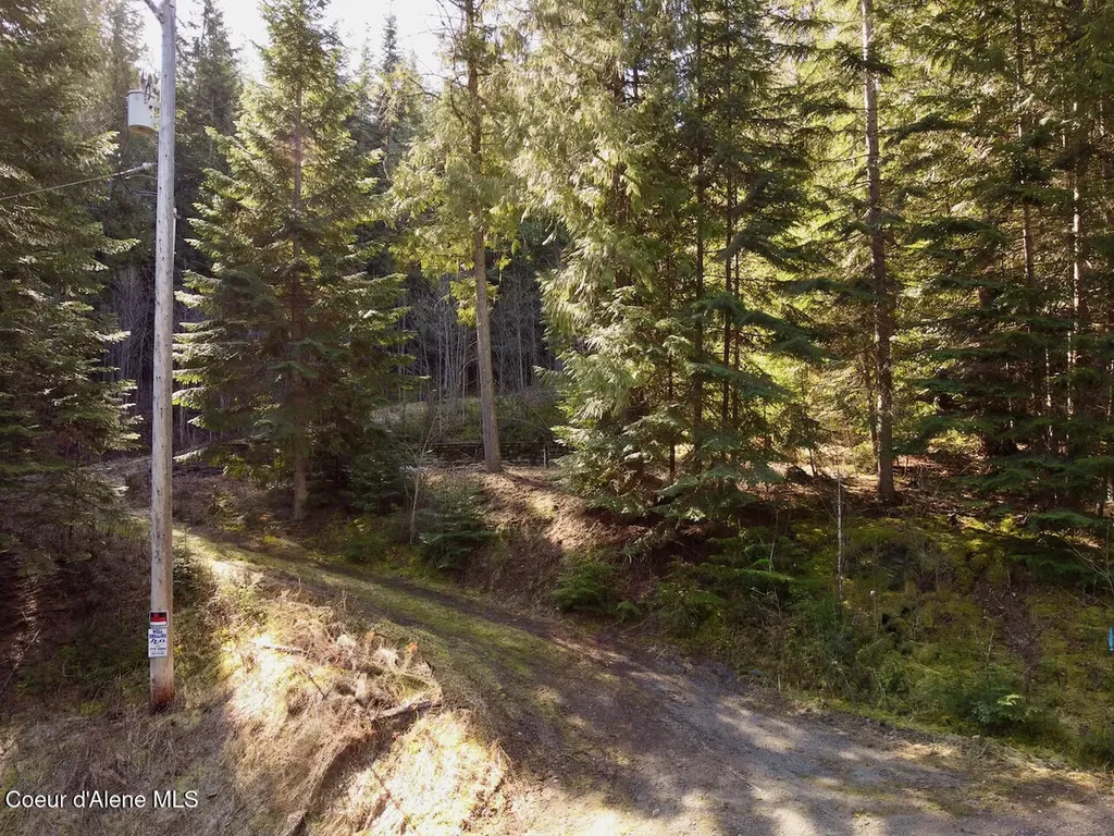 498 Revenue Gulch Road Silverton ID 83867