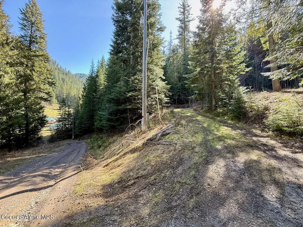 498 Revenue Gulch Road Silverton ID 83867