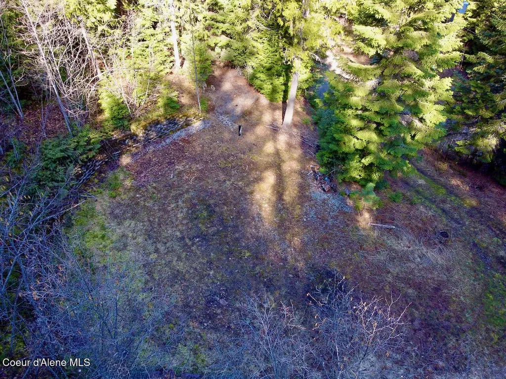 498 Revenue Gulch Road Silverton ID 83867