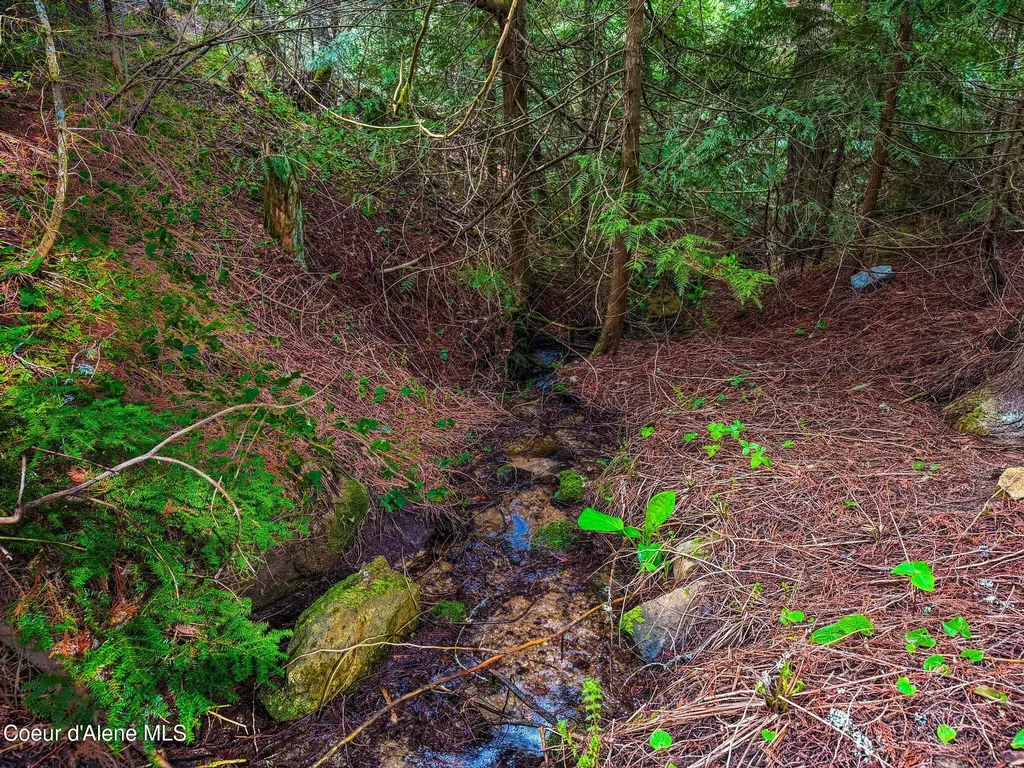 17461 N Right Fork Road Hauser ID 83854