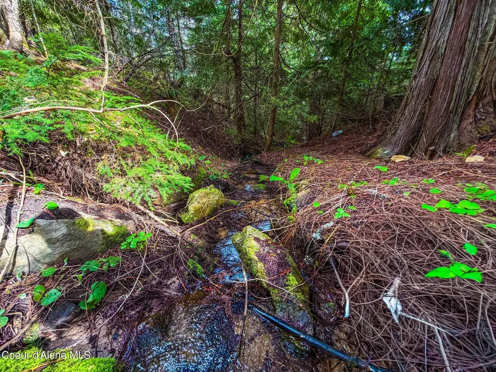 17461 N Right Fork Road Hauser ID 83854
