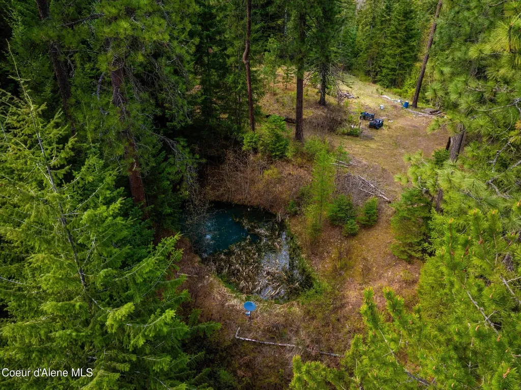 17461 N Right Fork Road Hauser ID 83854