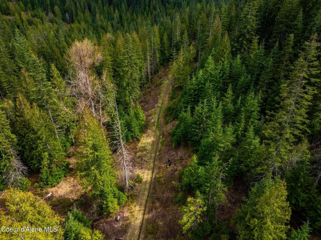 17461 N Right Fork Road Hauser ID 83854