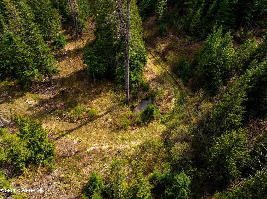 17461 N Right Fork Road Hauser ID 83854