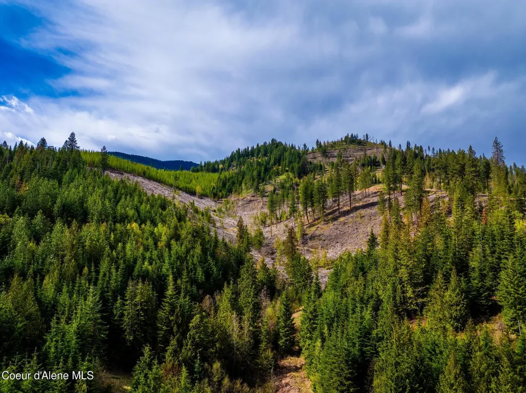 17461 N Right Fork Road Hauser ID 83854