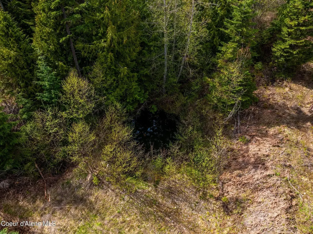 17461 N Right Fork Road Hauser ID 83854