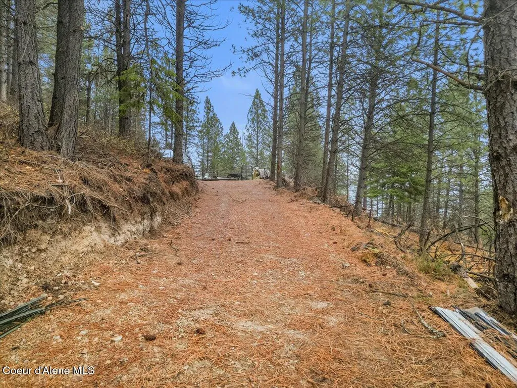 2972 Southfork Rdg Road Smelterville ID 83868