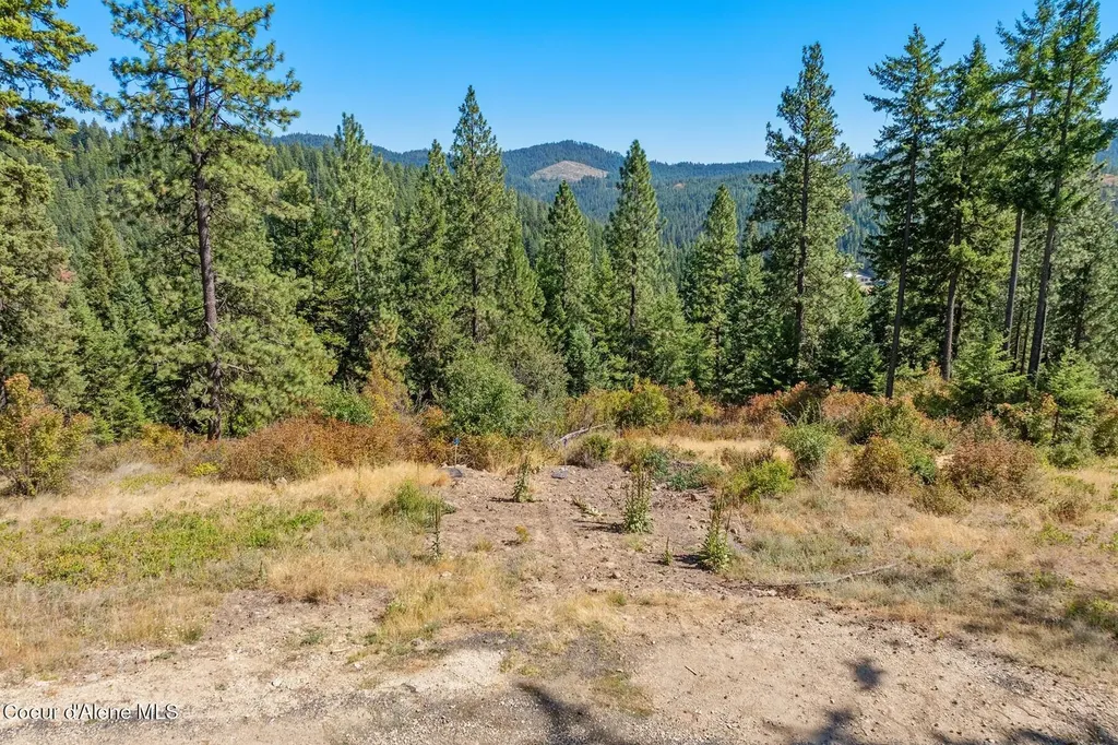 Nna Hanson Road Harrison ID 83833