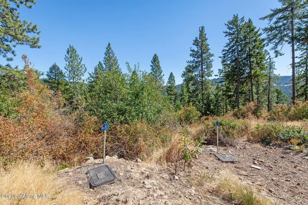 Nna Hanson Road Harrison ID 83833
