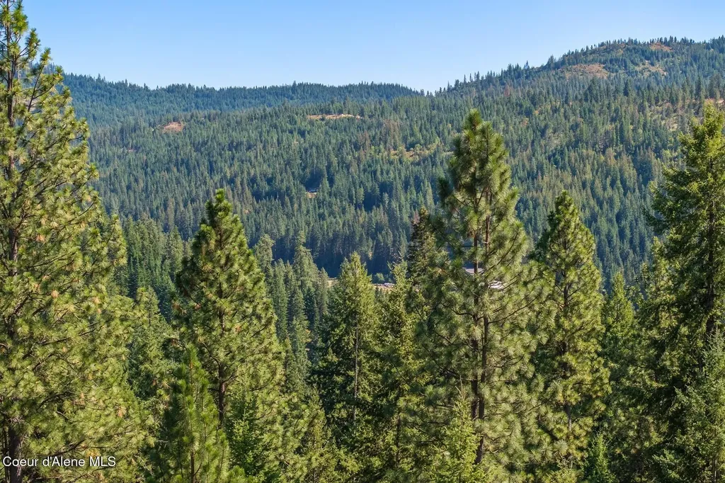 Nna Hanson Road Harrison ID 83833