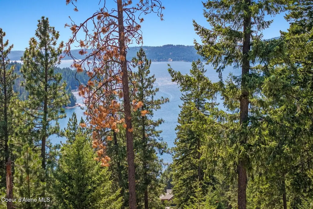 Nna Hanson Road Harrison ID 83833