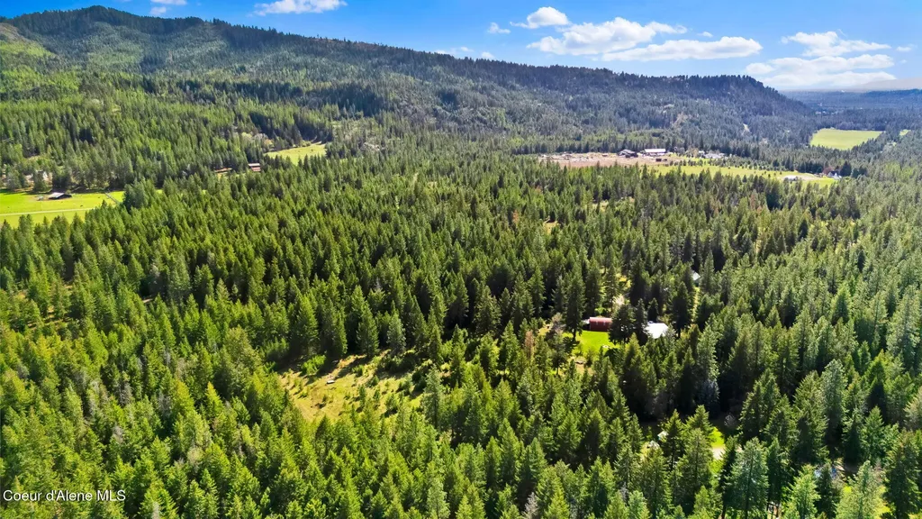 24842 N Cedar Mountain Road Athol ID 83801