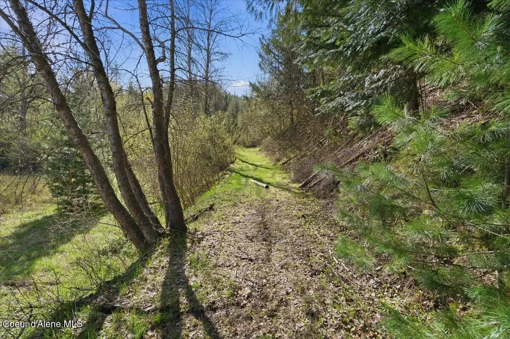 Nka 80ac Main Street Smelterville ID 83868