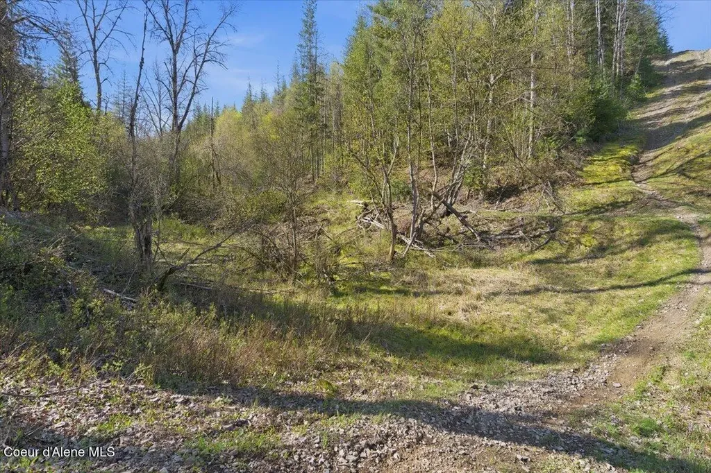 Nka 80ac Main Street Smelterville ID 83868