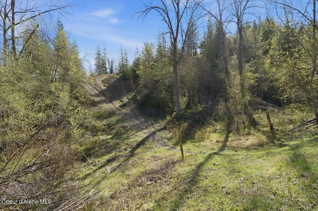 Nka 80ac Main Street Smelterville ID 83868