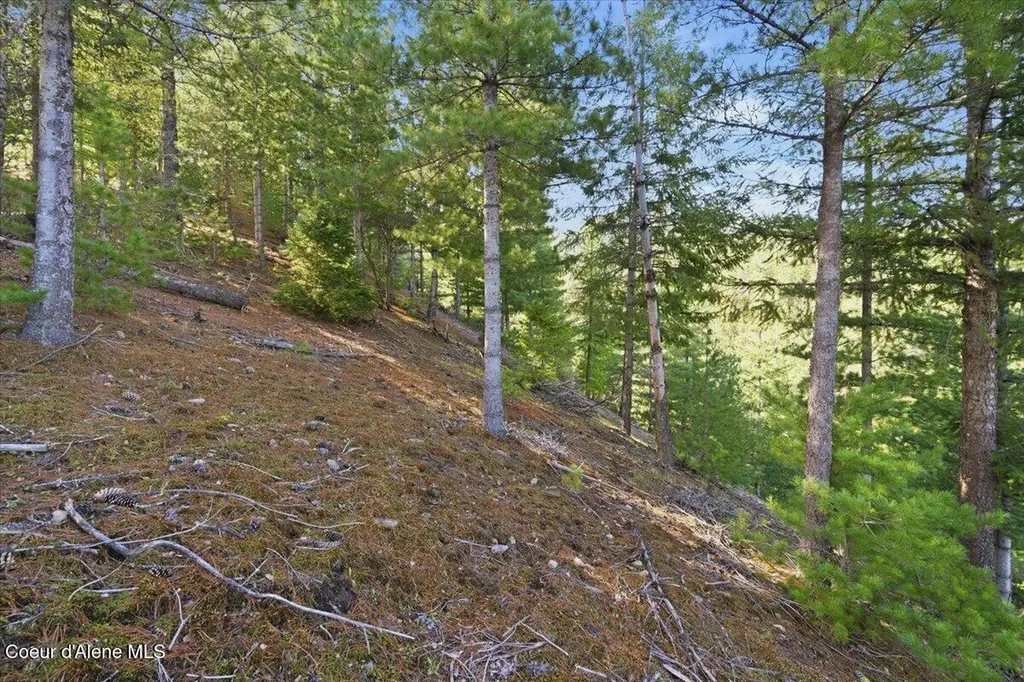 Nka 80ac Main Street Smelterville ID 83868