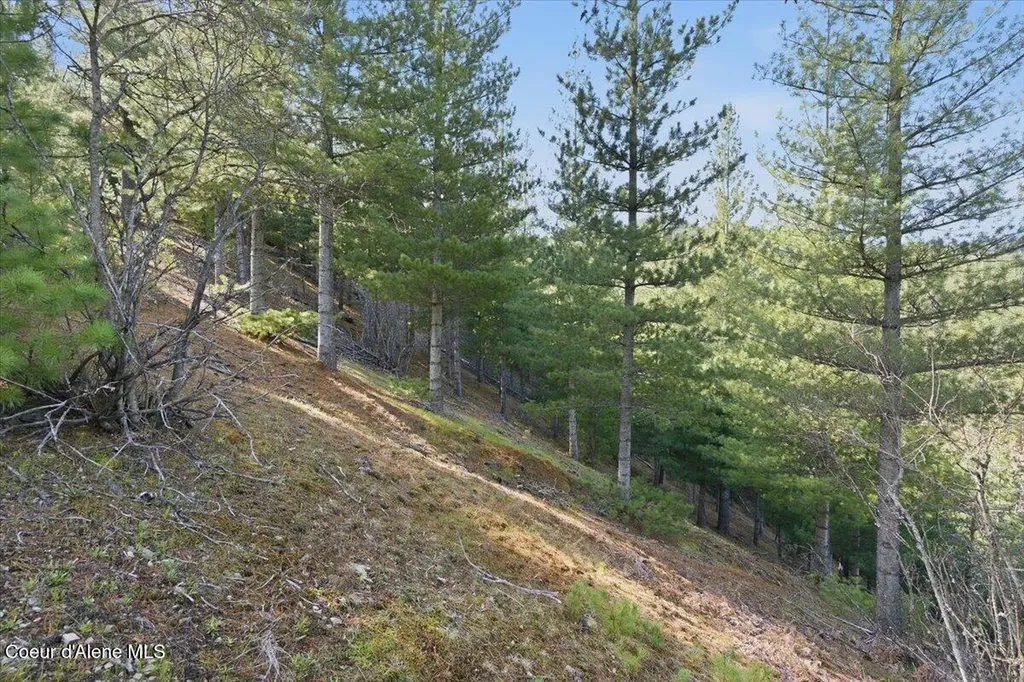 Nka 80ac Main Street Smelterville ID 83868