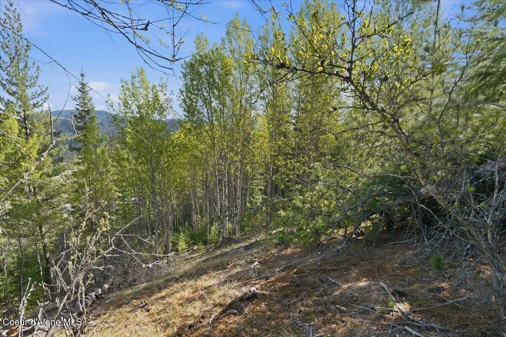 Nka 80ac Main Street Smelterville ID 83868