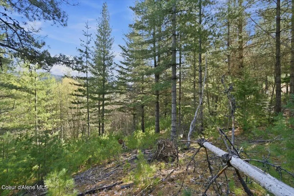 Nka 80ac Main Street Smelterville ID 83868