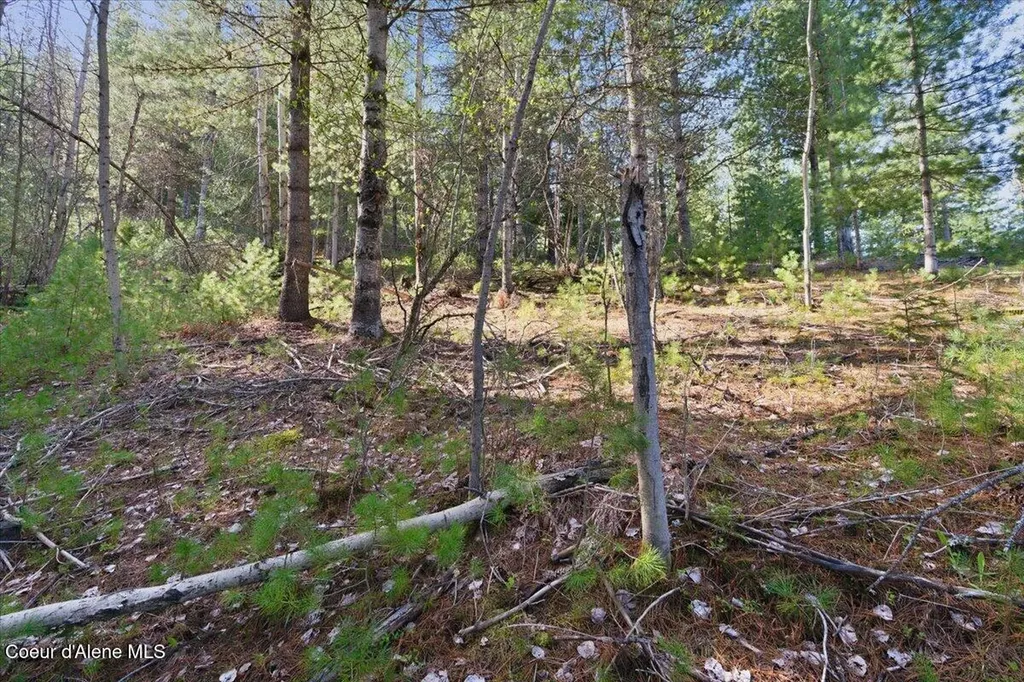 Nka 80ac Main Street Smelterville ID 83868