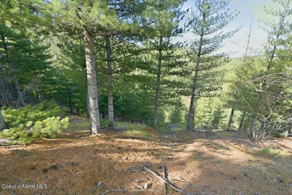 Nka 80ac Main Street Smelterville ID 83868