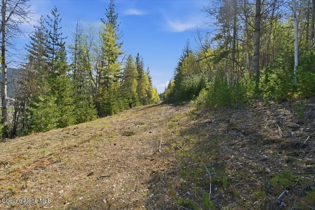 Nka 80ac Main Street Smelterville ID 83868