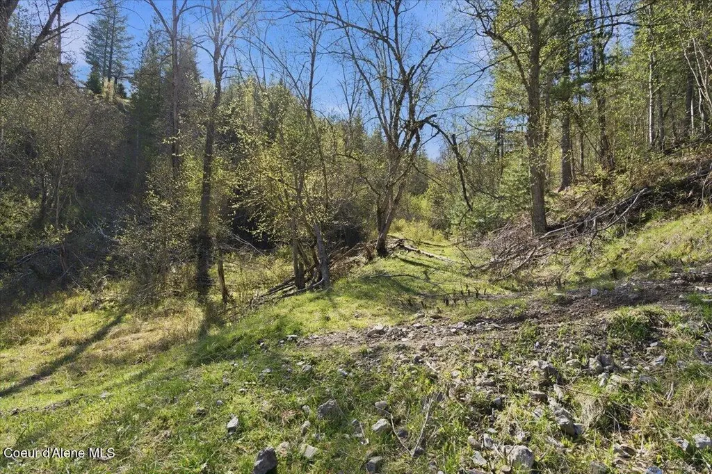 Nka 80ac Main Street Smelterville ID 83868