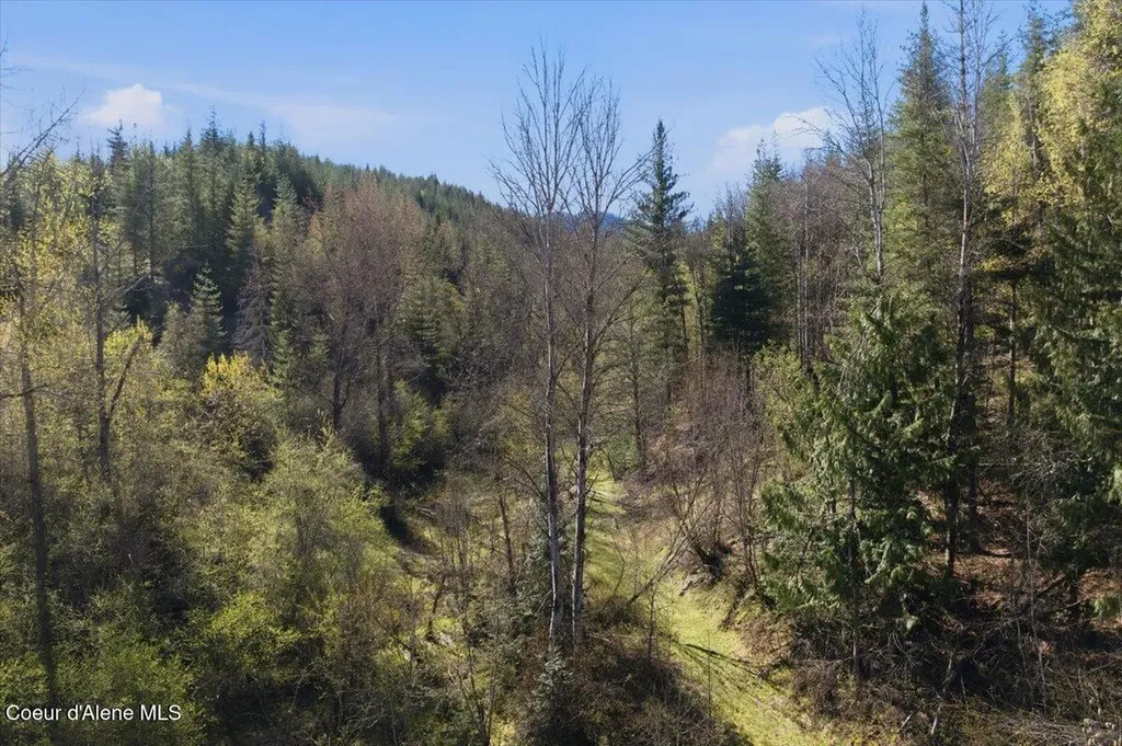 Nka 80ac Main Street Smelterville ID 83868