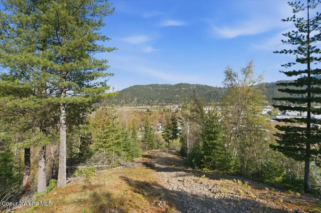Nka 80ac Main Street Smelterville ID 83868