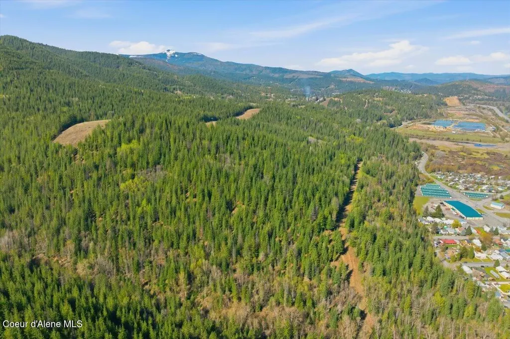 Nka 80ac Main Street Smelterville ID 83868