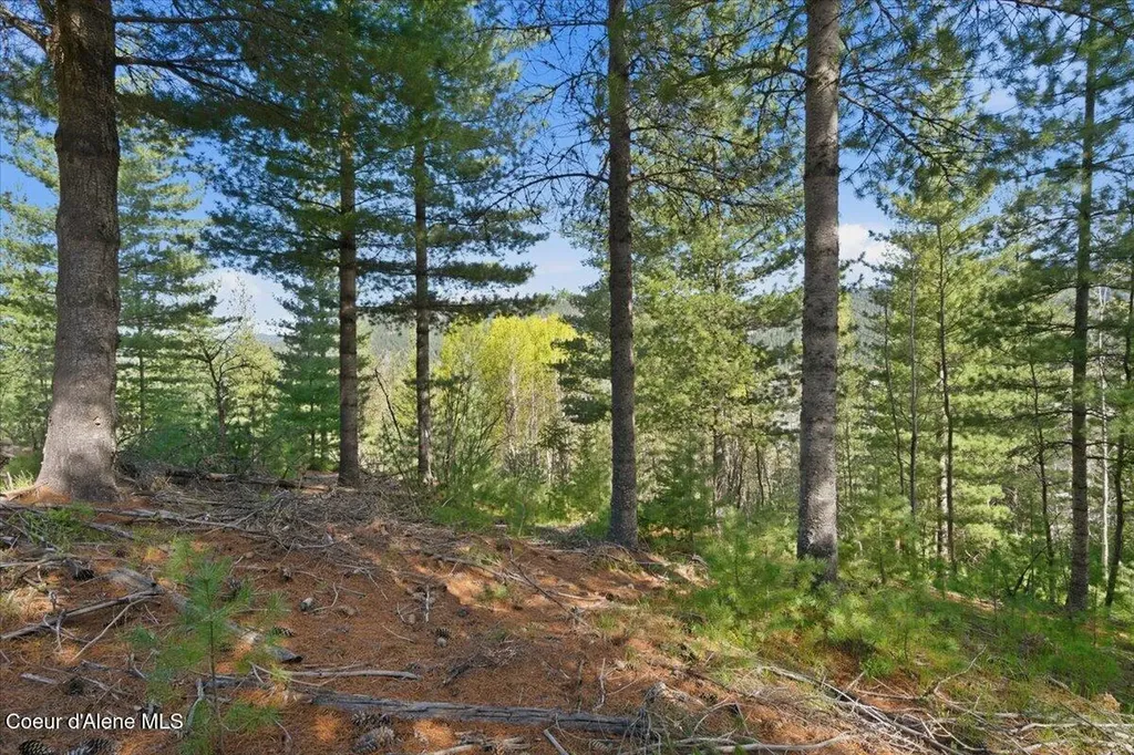 Nka 80ac Main Street Smelterville ID 83868