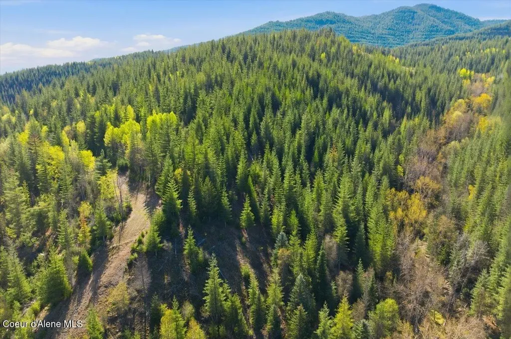 Nka 80ac Main Street Smelterville ID 83868