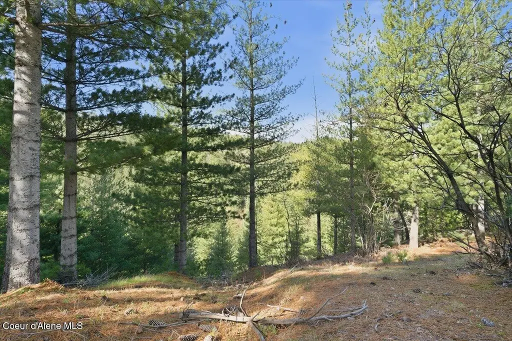 Nka 80ac Main Street Smelterville ID 83868