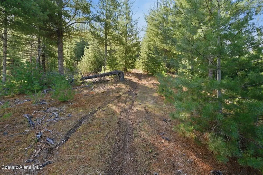 Nka 80ac Main Street Smelterville ID 83868