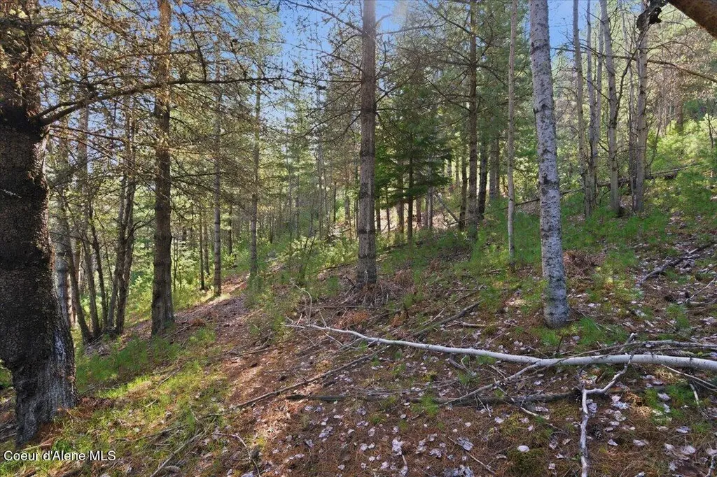 Nka 80ac Main Street Smelterville ID 83868