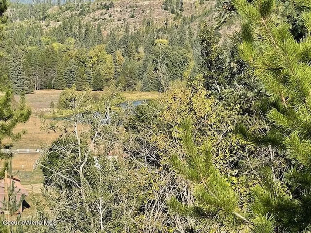 Nka Gleason Mcabee Road Priest River ID 83856