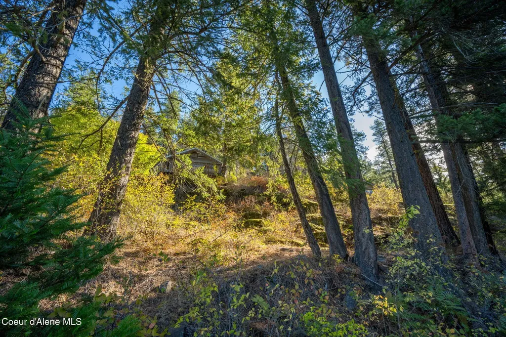 1402 Mirror Lake Road Sagle ID 83860