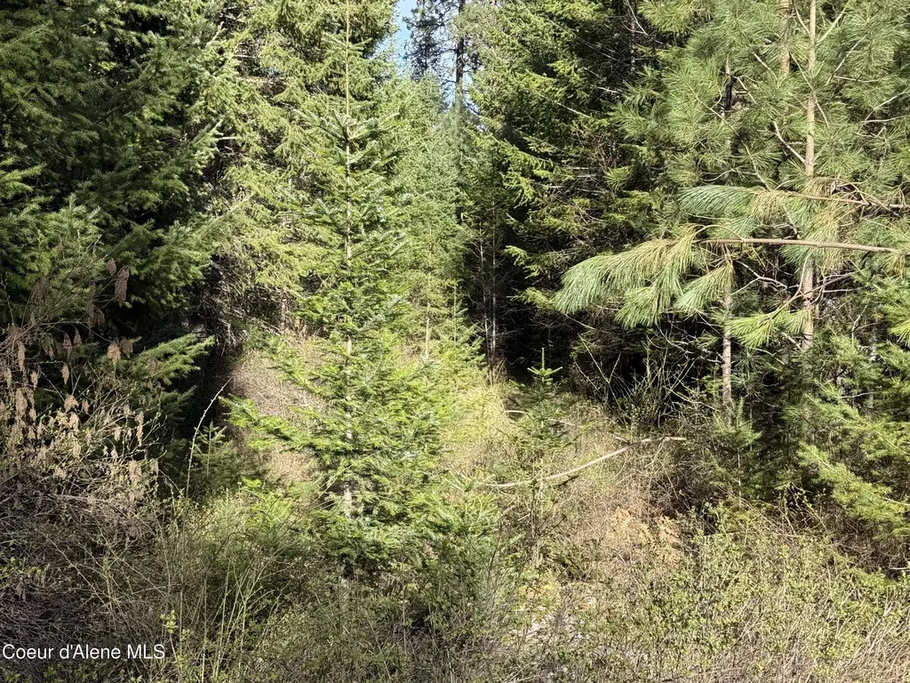 Nna Half Round Bay Road Harrison ID 83833