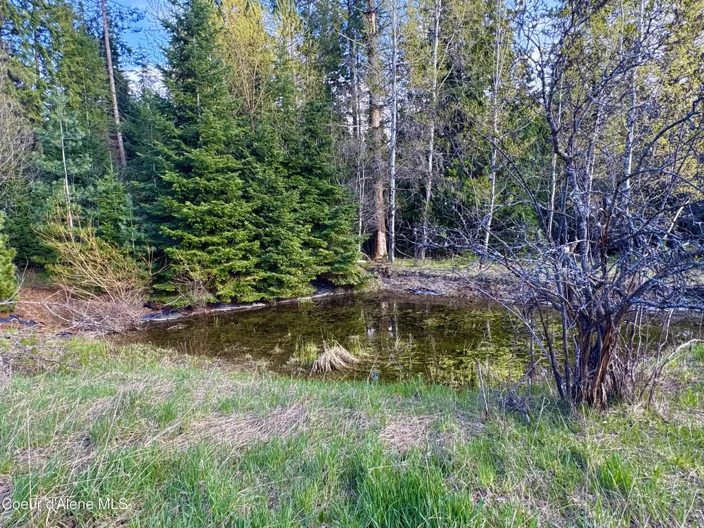 8 Dead Horse Lane Heron MT 59844