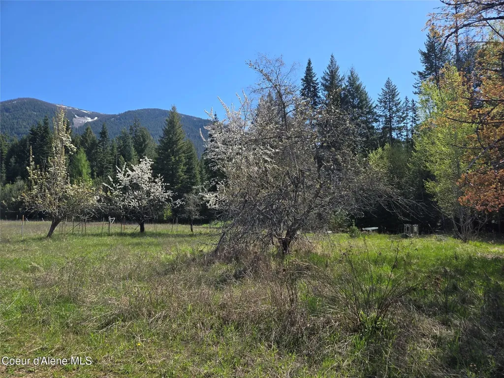 8 Dead Horse Lane Heron MT 59844