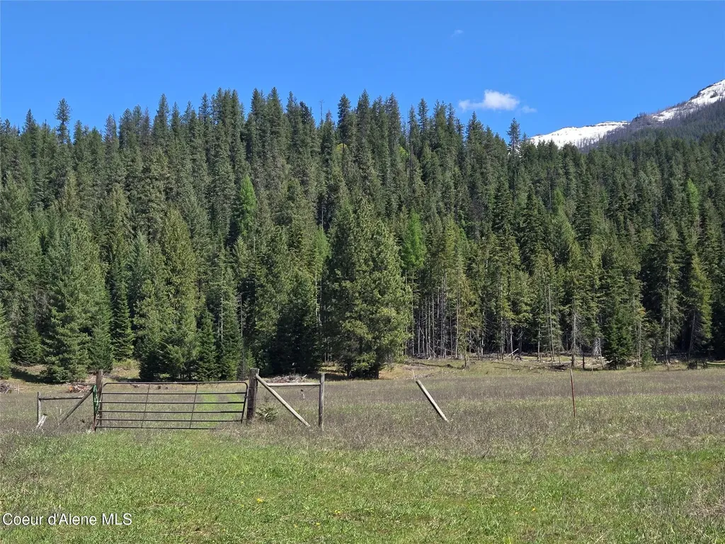 8 Dead Horse Lane Heron MT 59844
