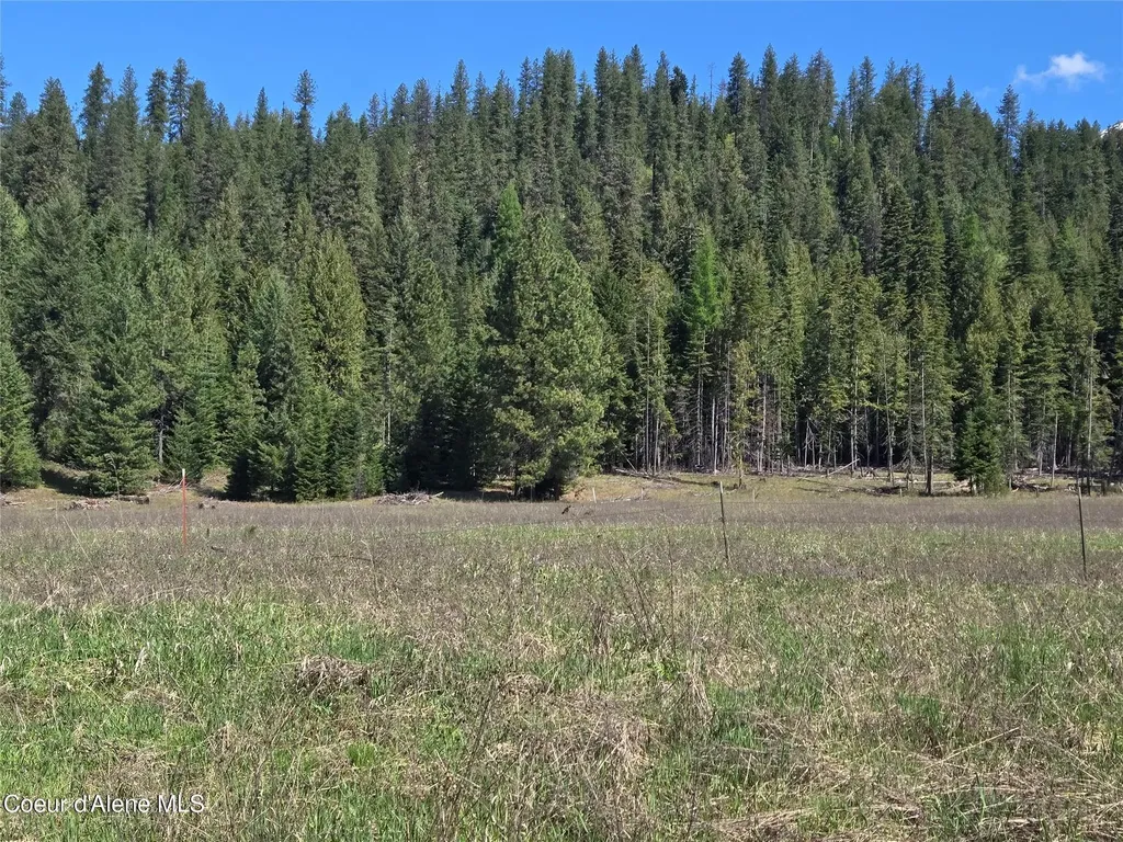 8 Dead Horse Lane Heron MT 59844