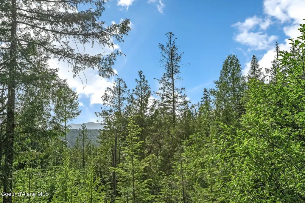 245 Barbary Trail Sandpoint ID 83864